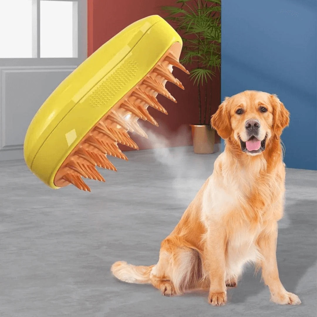 Brosse chien à vapeur