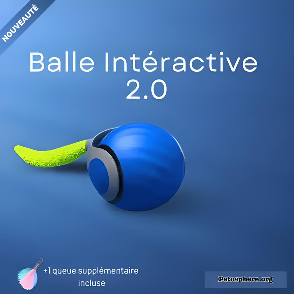 Balle interactive
