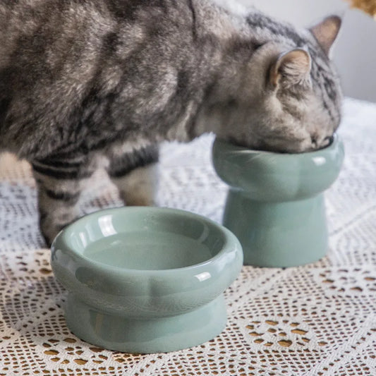 Bol surélever pour chat en céramique
