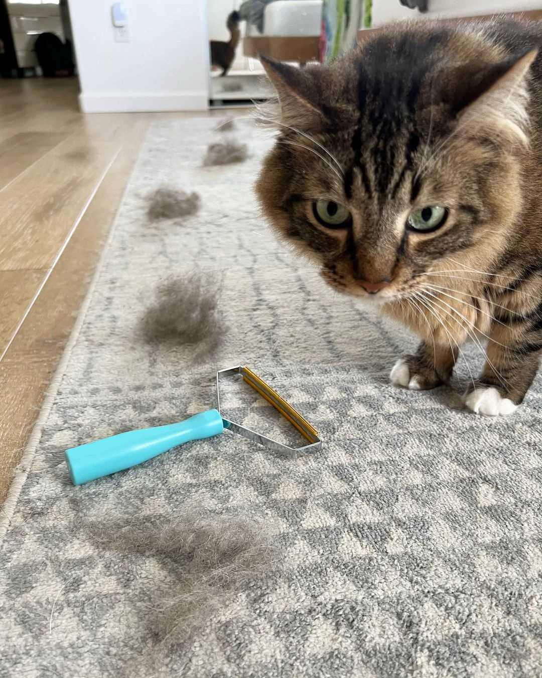 Lint Remover Pro®