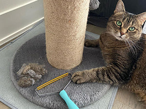 Lint Remover Pro®