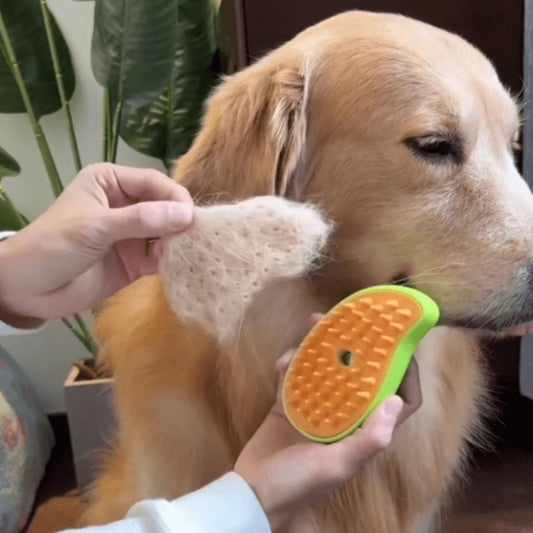 Brosse chien à vapeur