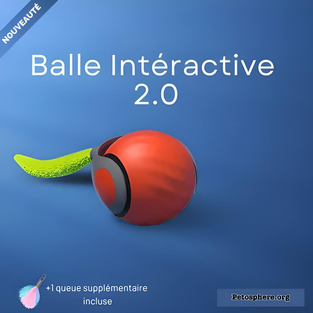 Balle interactive