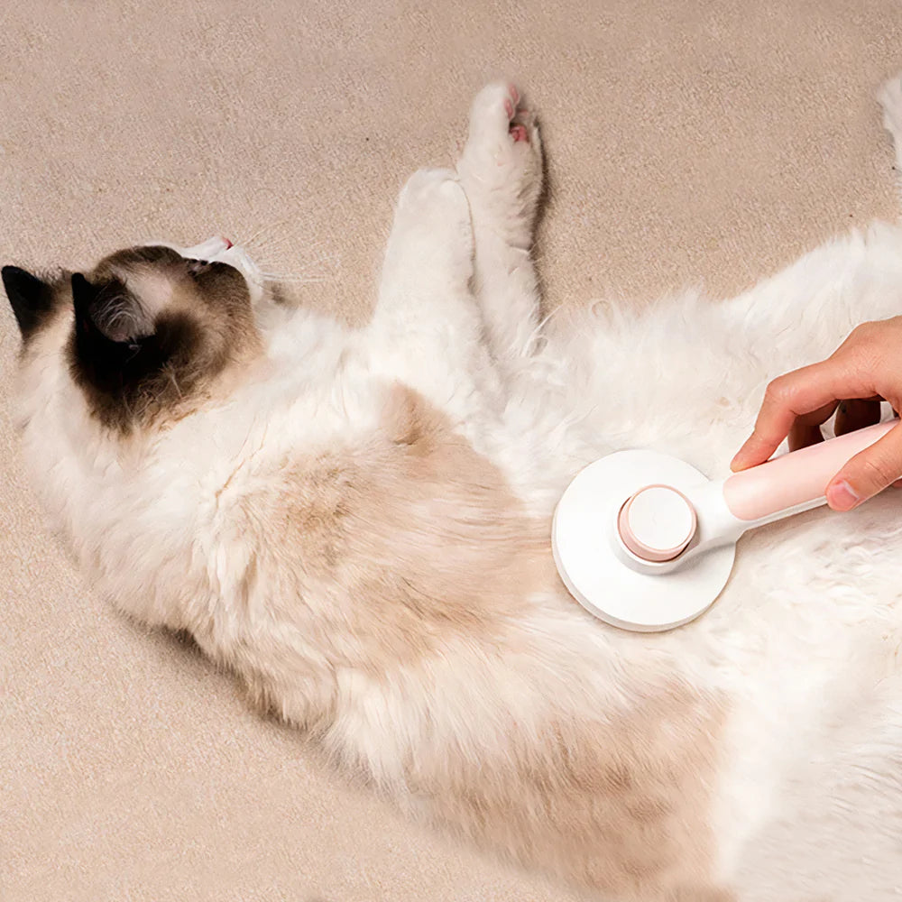 Brosse Auto Nettoyante®